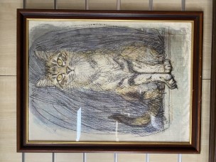 Pencil Sketch of a Cat